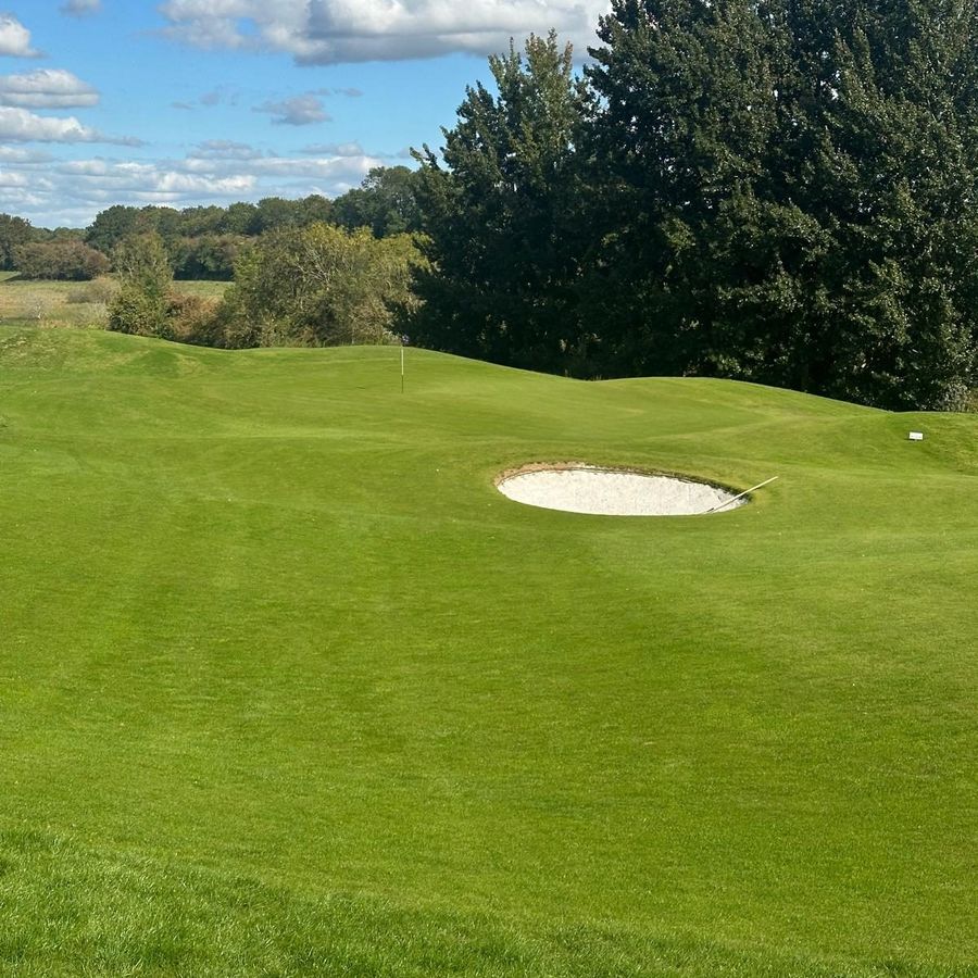 A green and bunker on a sunny day